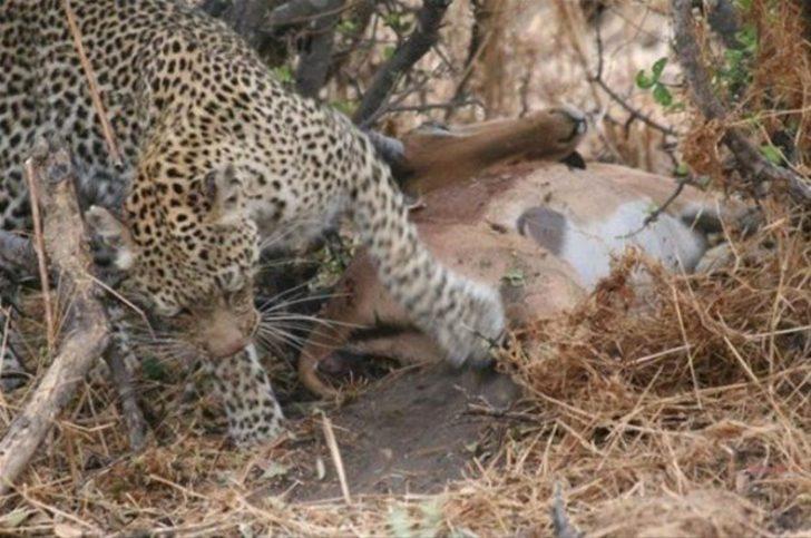 Onları bu halde buldular  G4