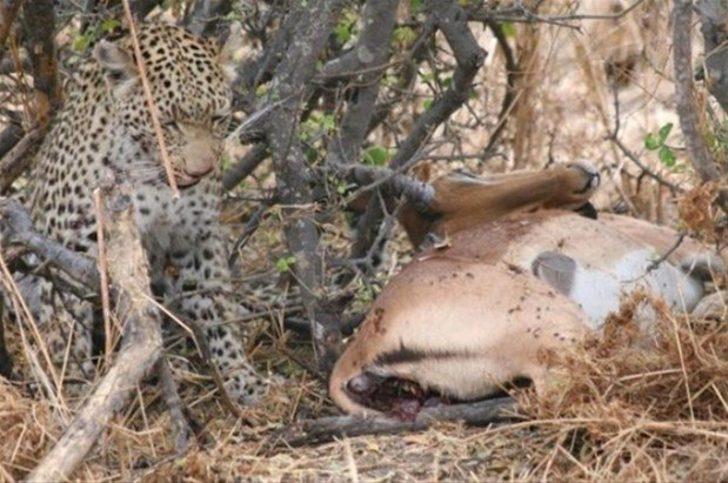 Onları bu halde buldular  G5