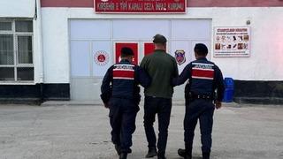 Kırşehir'de sahipsiz köpeği tüfekle öldüren zanlı tutuklandı