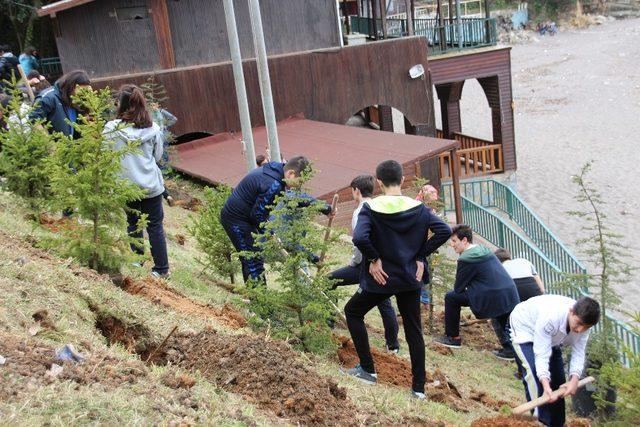 Akçakocalı öğrenciler Ceneviz kalesi plajında fidan dikti