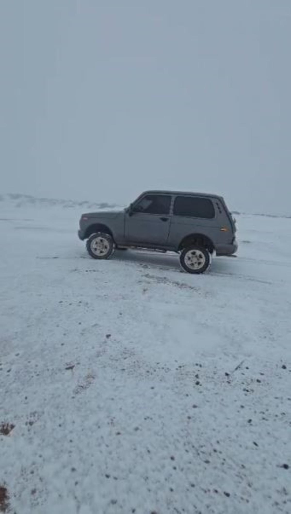 Mantar toplamak i&ccedil;in &ccedil;ıktı, karşılaştığı manzaraya şaşırdı 1