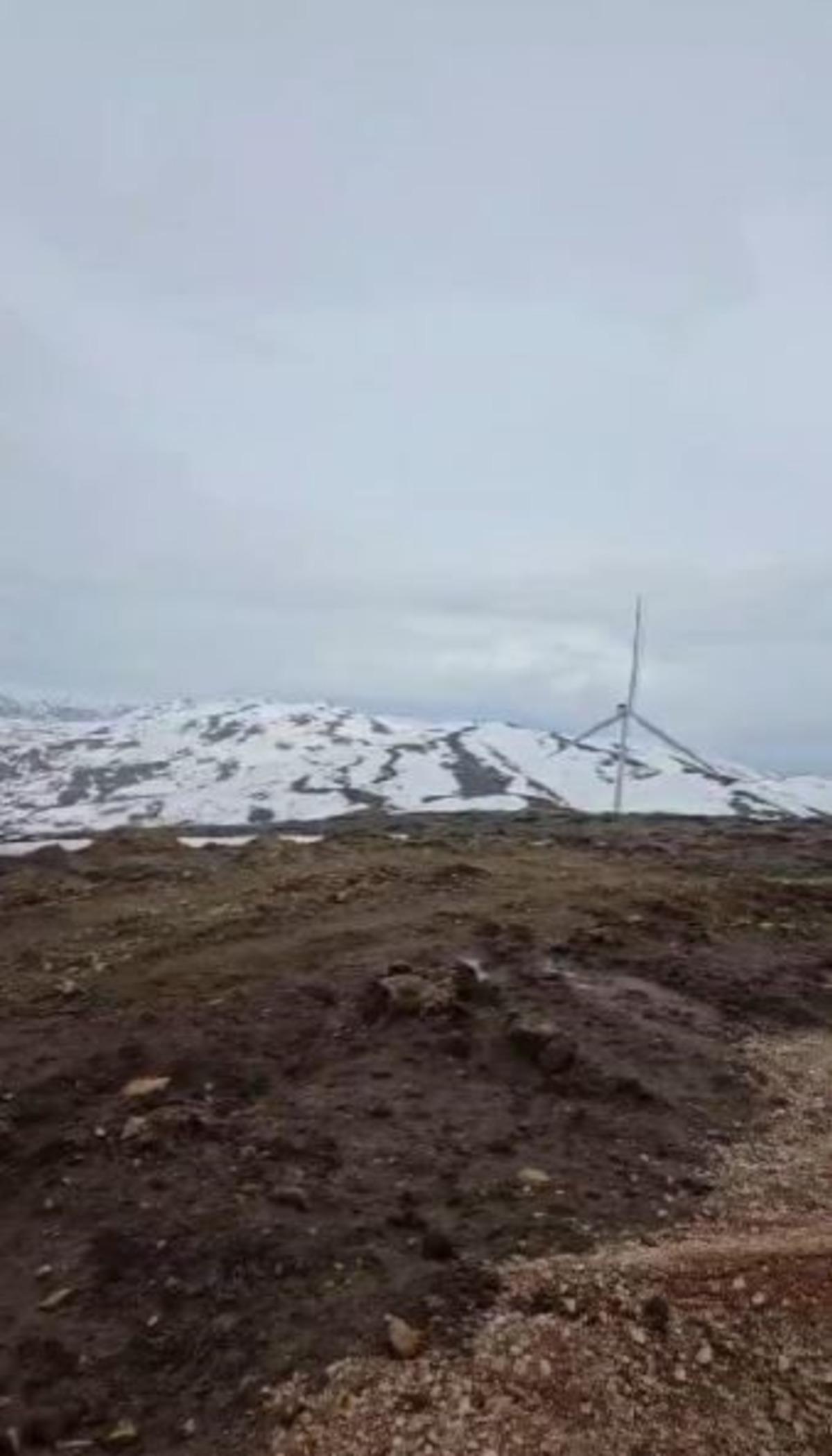 Mantar toplamak i&ccedil;in &ccedil;ıktı, karşılaştığı manzaraya şaşırdı 2