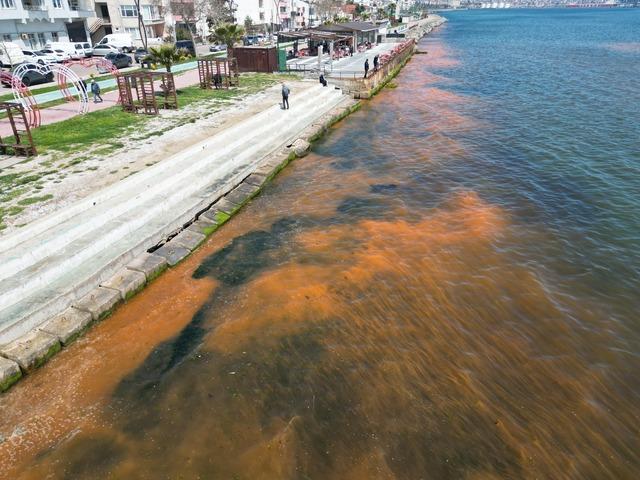 Tekirdağ da planktonların &ccedil;oğalması sonucu denizin rengi yer yer değişti 1
