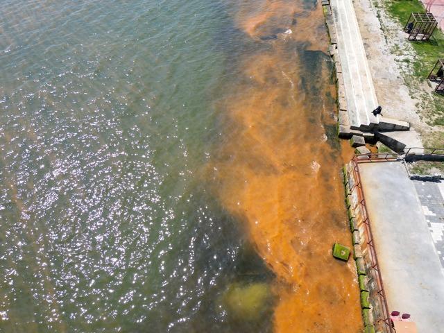 Tekirdağ da planktonların &ccedil;oğalması sonucu denizin rengi yer yer değişti 2