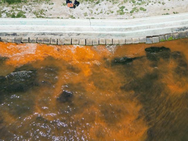 Tekirdağ da planktonların &ccedil;oğalması sonucu denizin rengi yer yer değişti 3