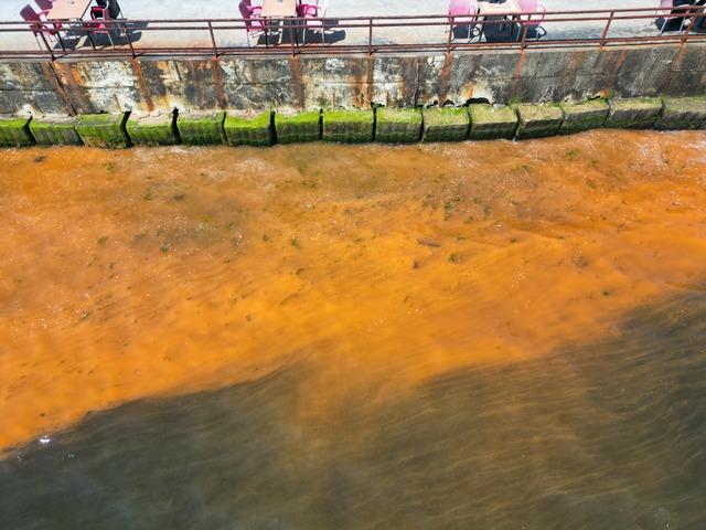 Tekirdağ da planktonların &ccedil;oğalması sonucu denizin rengi yer yer değişti 4