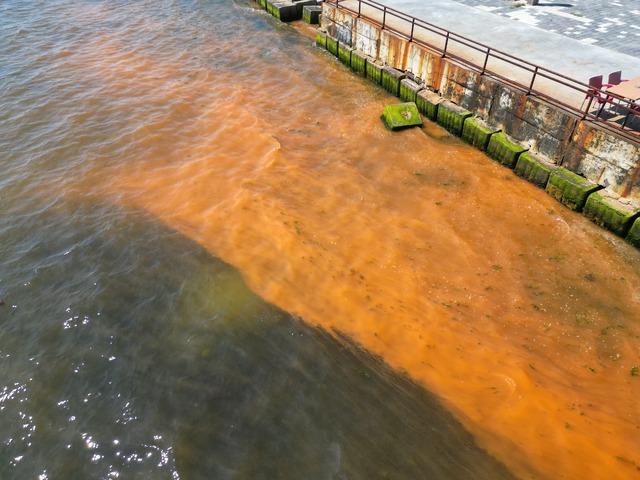 Tekirdağ da planktonların &ccedil;oğalması sonucu denizin rengi yer yer değişti 5
