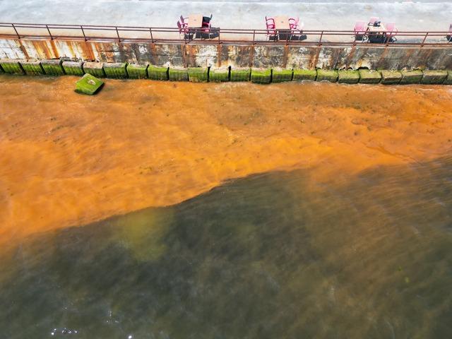 Tekirdağ da planktonların &ccedil;oğalması sonucu denizin rengi yer yer değişti 6