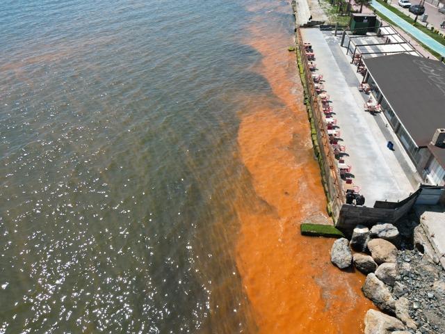 Tekirdağ da planktonların &ccedil;oğalması sonucu denizin rengi yer yer değişti 7