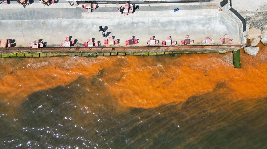 Tekirdağ'da planktonların &ccedil;oğalması sonucu denizin rengi yer yer değişti