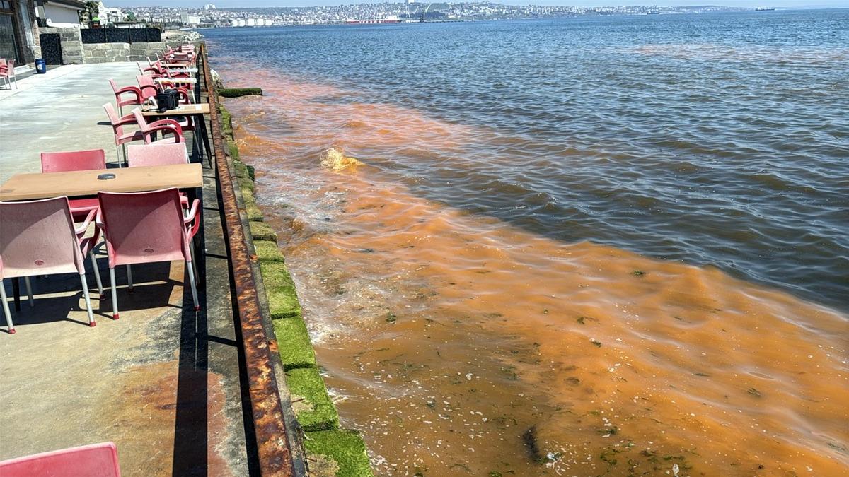 Tekirdağ da alg patlaması! Deniz turuncu renge b&uuml;r&uuml;nd&uuml; 6