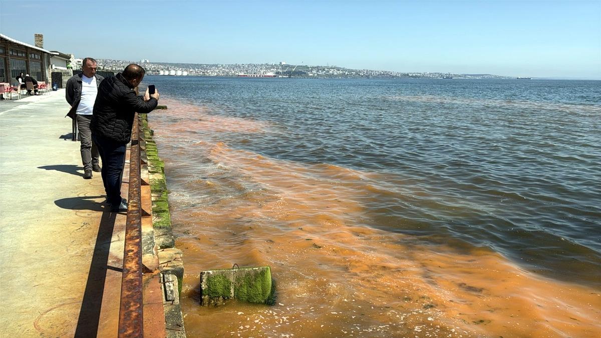 Tekirdağ da alg patlaması! Deniz turuncu renge b&uuml;r&uuml;nd&uuml; 5