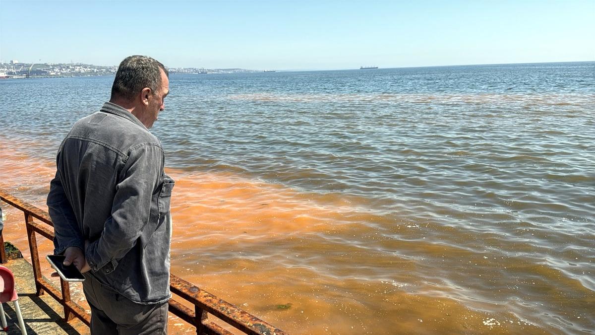 Tekirdağ da alg patlaması! Deniz turuncu renge b&uuml;r&uuml;nd&uuml; 4