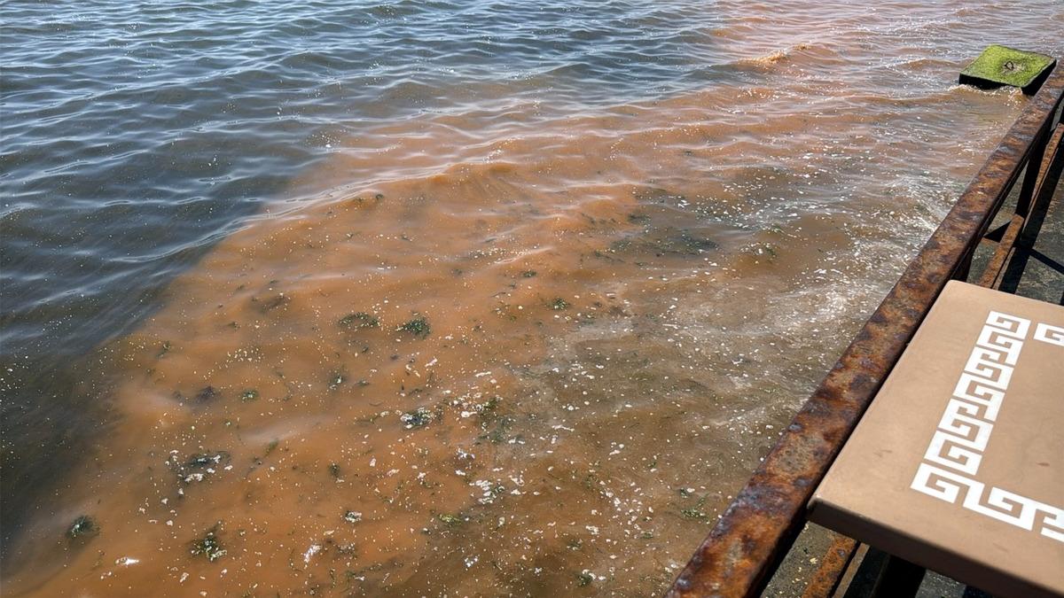 Tekirdağ da alg patlaması! Deniz turuncu renge b&uuml;r&uuml;nd&uuml; 2