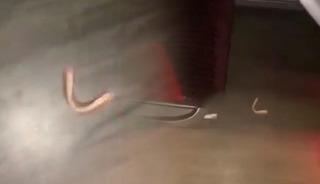 Otob&uuml;ste sıra dışı anons: "Dişi d&uuml;şen var mı?"