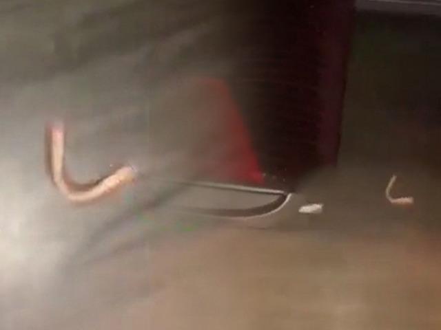 Otob&uuml;ste sıra dışı anons: "Dişi d&uuml;şen var mı?"