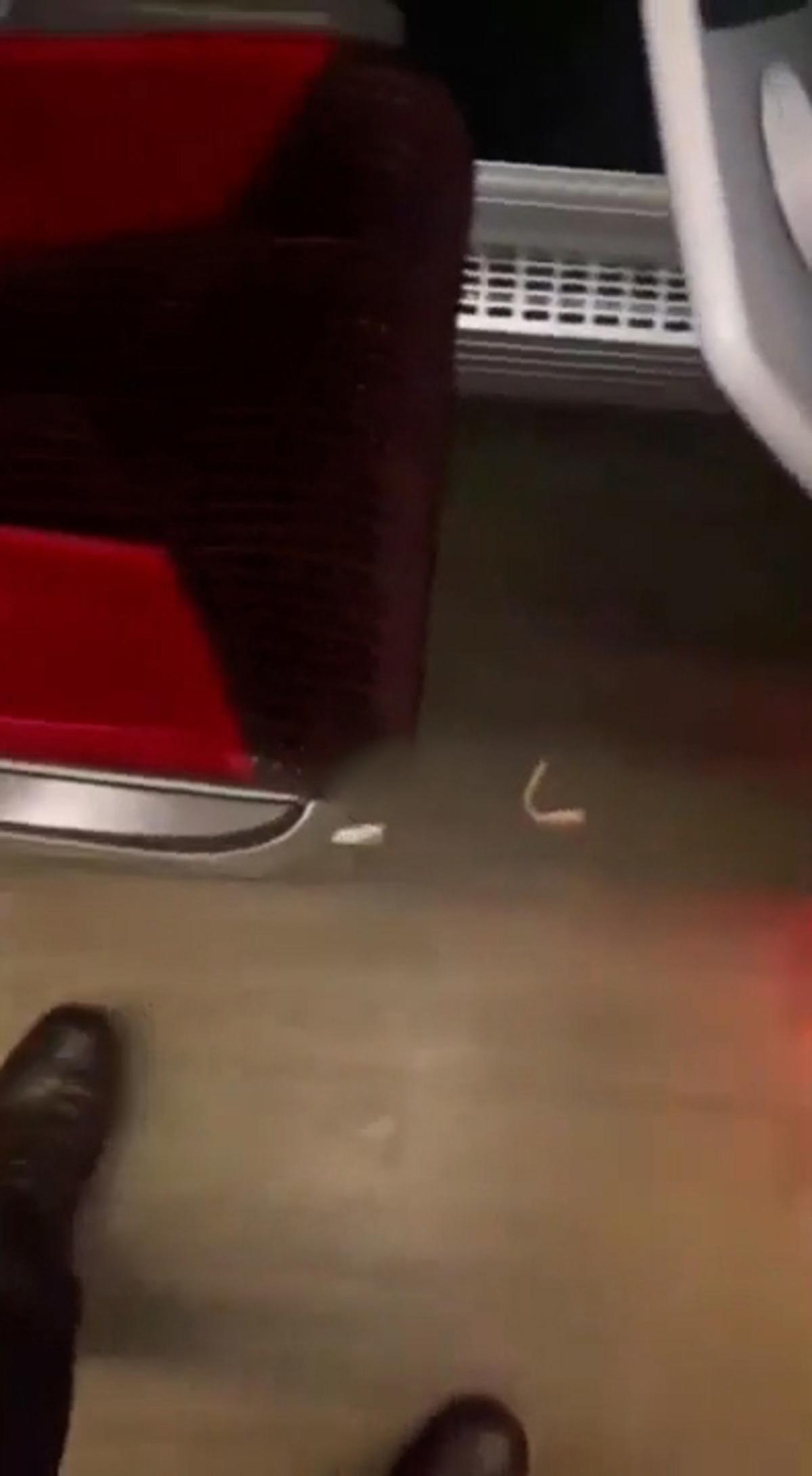 Otob&uuml;ste sıra dışı anons: "Dişi d&uuml;şen var mı?" 1