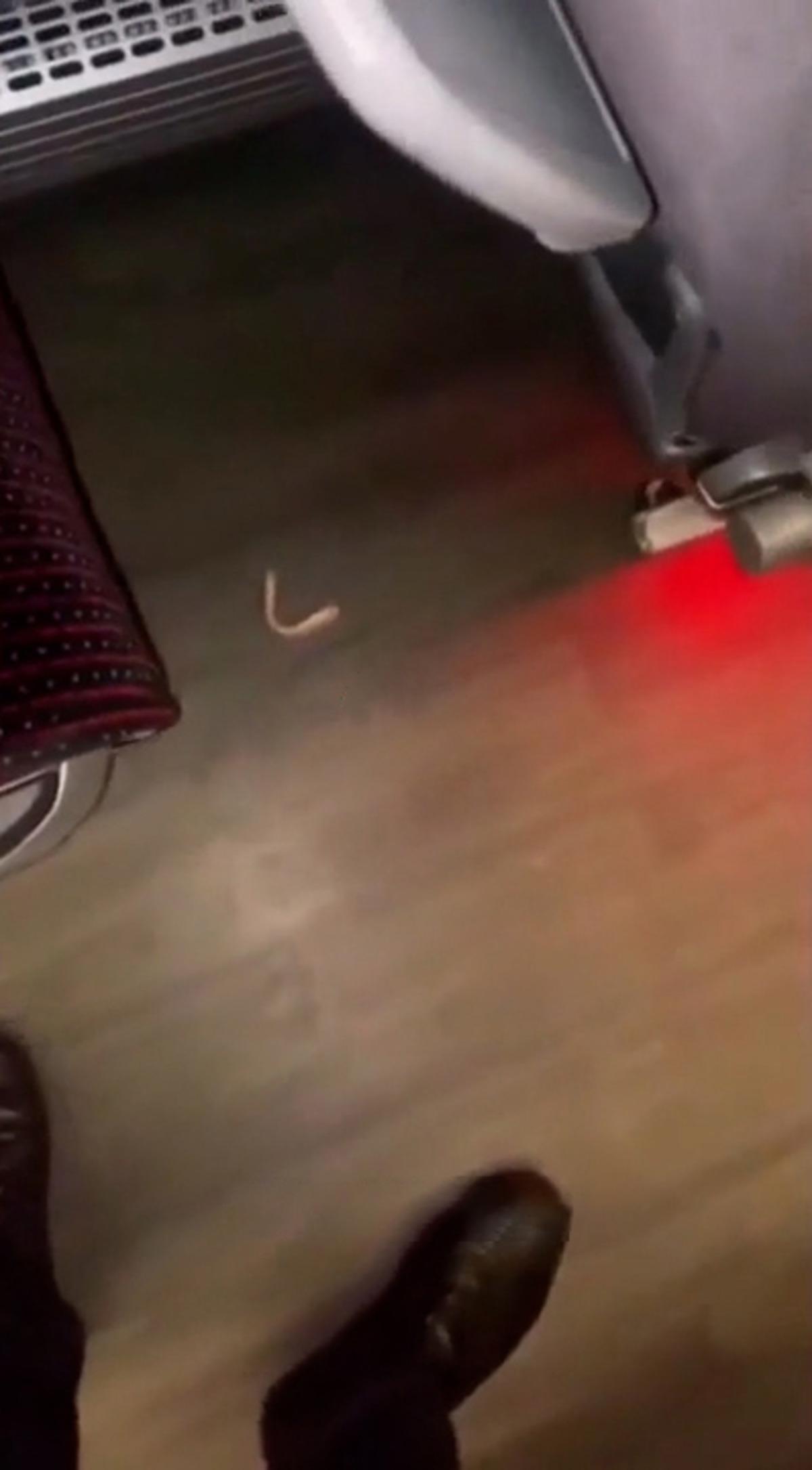 Otob&uuml;ste sıra dışı anons: "Dişi d&uuml;şen var mı?" 2