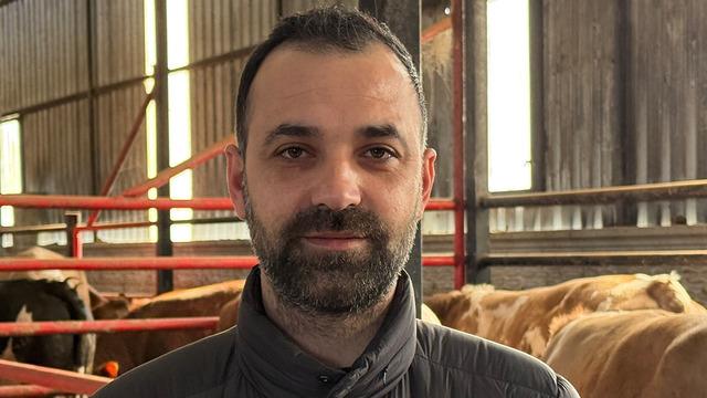 Ülke ülke gezdiler: 1,5 tonluk tosunun bu yılki fiyatı belli oldu