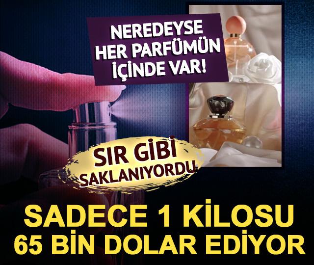 Parf&uuml;mlerin gizli malzemesi kilogramda 65 bin dolar