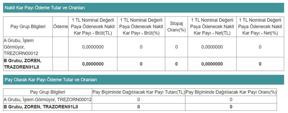 Zorlu Enerji (ZOREN) "Zarar var temett&uuml; yok" dedi, G&ouml;rsel 1