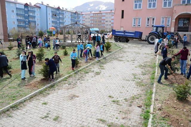 Palandöken Belediyesi öğrencilerle fidan dikti