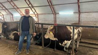 Kurbanlıklar pazara çıkmayı bekliyor