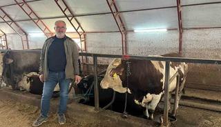 Kurbanlıklar pazara &ccedil;ıkmayı bekliyor