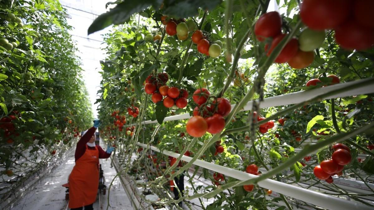 İl il belirlendi: 11 şehir var! İstanbul un y&uuml;k&uuml; paylaşılacak 1