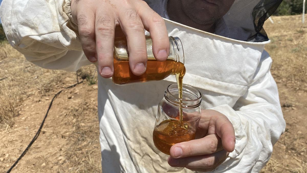 D&uuml;nyanın en iyi balı se&ccedil;ildi: Eskişehir den &ccedil;ıktı Paris i salladı! 1