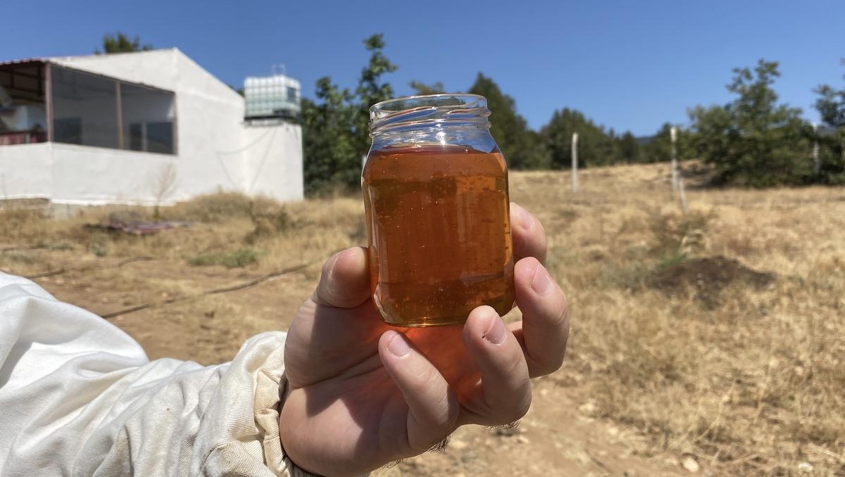 D&uuml;nyanın en iyi balı se&ccedil;ildi: Eskişehir den &ccedil;ıktı Paris i salladı! 2