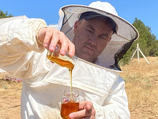 D&uuml;nyanın en iyi balı se&ccedil;ildi: Paris'i salladı!