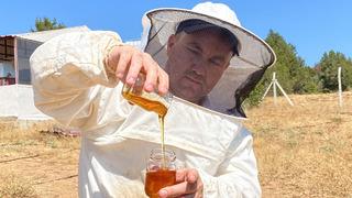Dünyanın en iyi balı seçildi: Eskişehir'den çıktı Paris'i salladı!