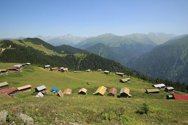 Rize'de bahar güzelliği