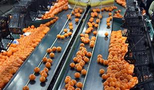 'Lokomotif haline geldi' İhracatı 697 milyon doları aştı