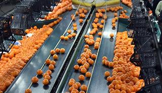 'Lokomotif haline geldi' İhracatı 697 milyon doları aştı