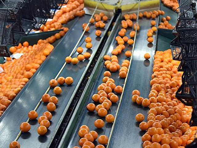 'Lokomotif haline geldi' İhracatı 697 milyon doları aştı