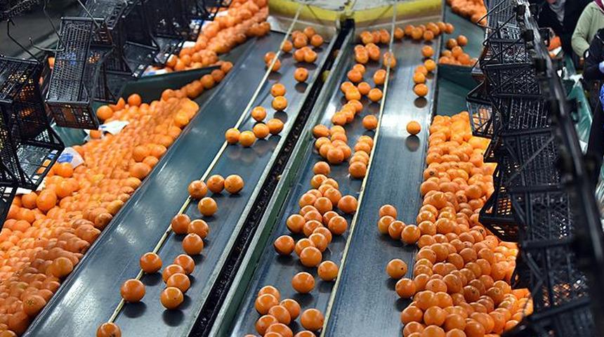 'Lokomotif haline geldi' İhracatı 697 milyon doları aştı