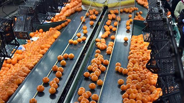 'Lokomotif haline geldi' İhracatı 697 milyon doları aştı