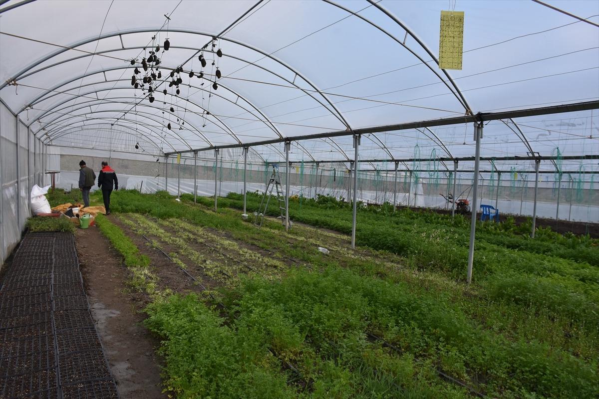 Yazın da kışın da &uuml;retiyor! &lsquo;Hibe programı organize ediyoruz&rsquo; 3