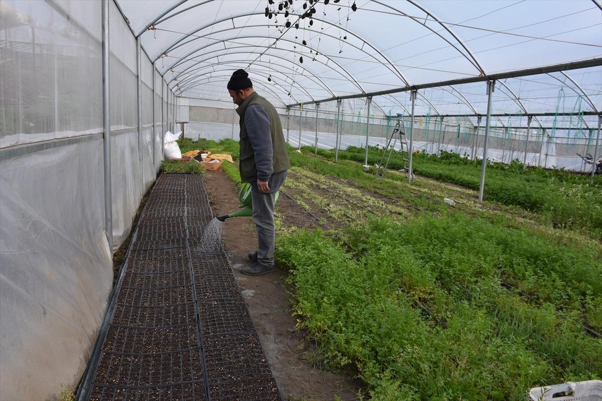 Yazın da kışın da &uuml;retiyor! &lsquo;Hibe programı organize ediyoruz&rsquo; 5