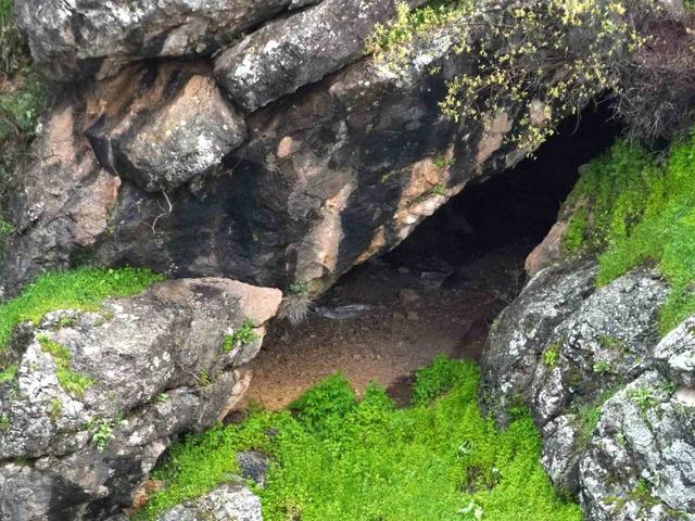 Siirt’te kayıp 13 yaşındaki çocuk için arama çalışması başlatıldı 4