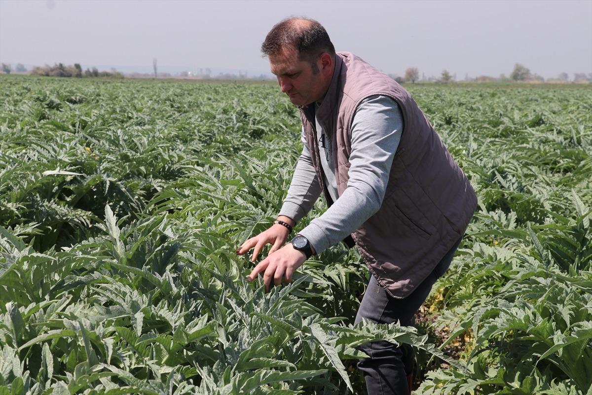 Uyguladığı y&ouml;ntem talebi artırdı: Yurt dışından bile sipariş var 1