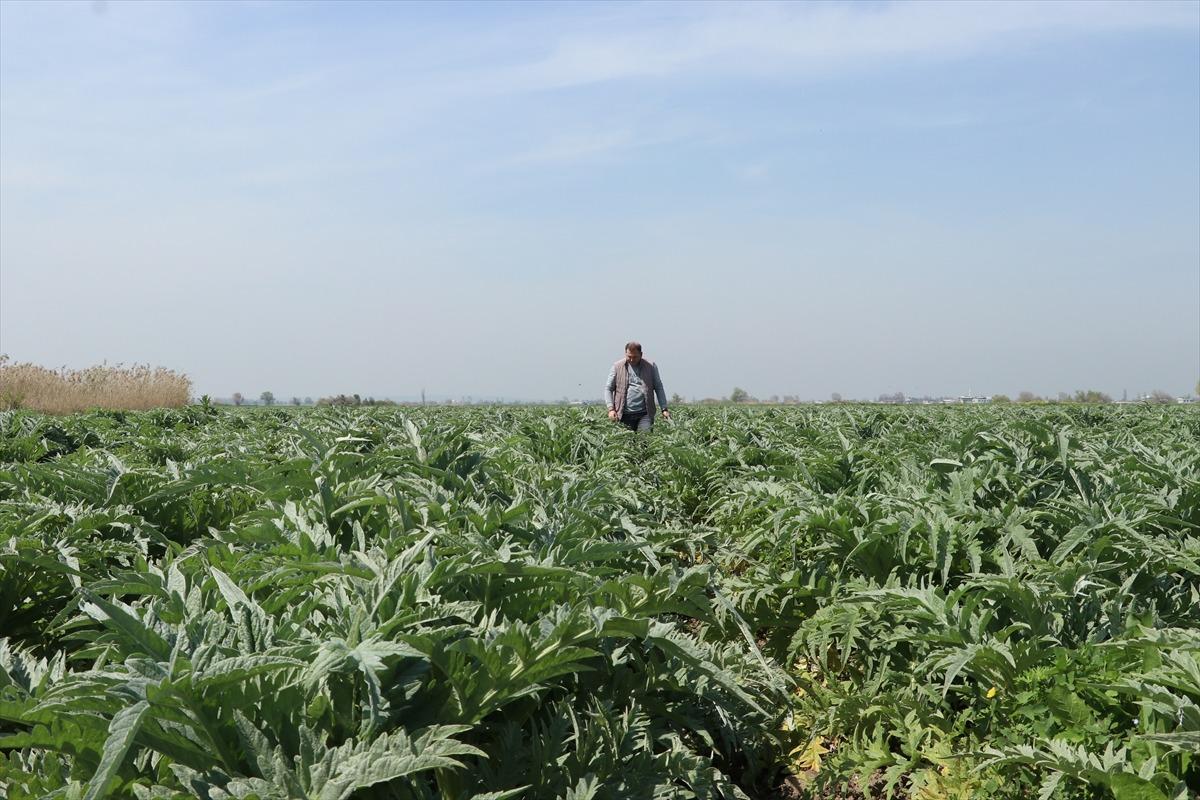 Uyguladığı y&ouml;ntem talebi artırdı: Yurt dışından bile sipariş var 3