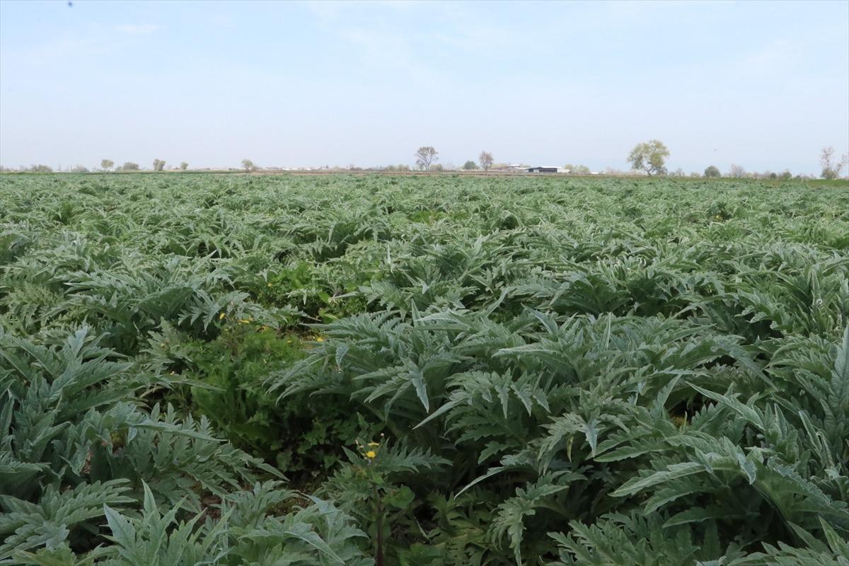 Uyguladığı y&ouml;ntem talebi artırdı: Yurt dışından bile sipariş var 5