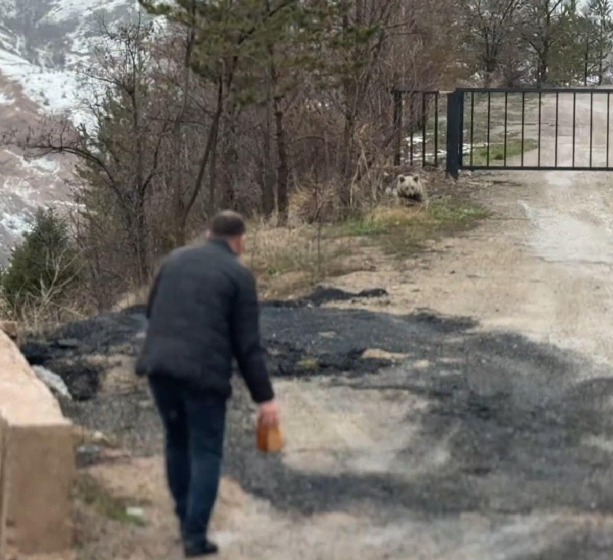 A&ccedil; kalan yavru ayıyı vatandaşlar elleriyle besledi 1