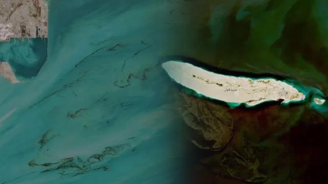 Körfez'de petrol sızıntısı! 100 milyon insan tehlikede