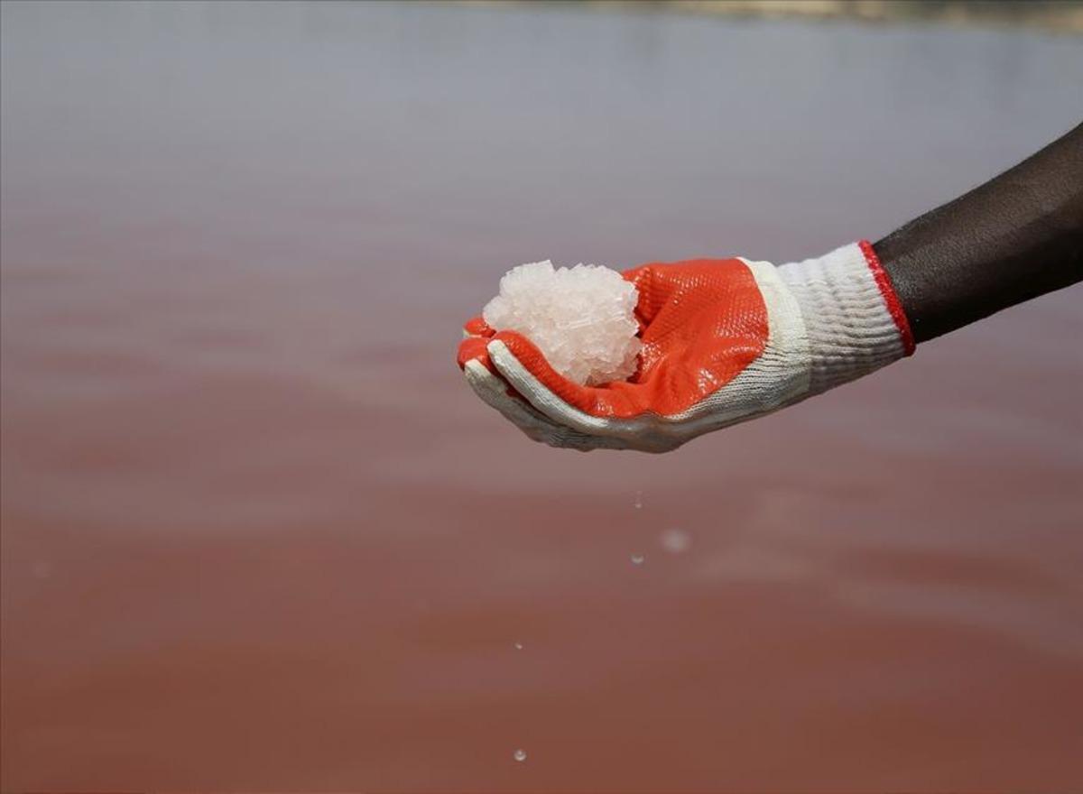 Pembe g&ouml;l&uuml;n sırrı &ccedil;&ouml;z&uuml;ld&uuml;!  1