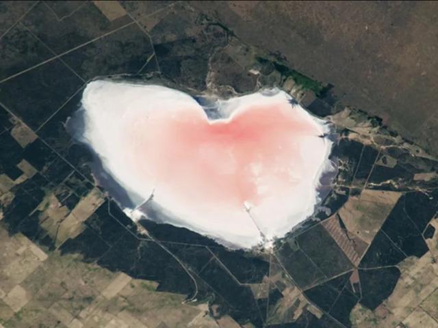 Pembe g&ouml;l&uuml;n sırrı &ccedil;&ouml;z&uuml;ld&uuml;!