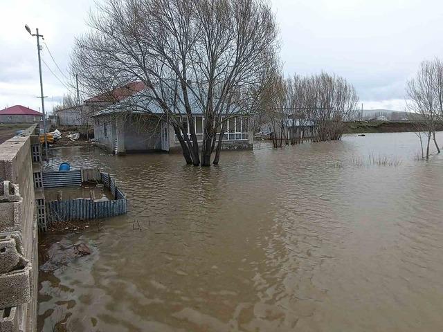 Ağrı da evleri su bastı: Sağanak taşkına neden oldu  1